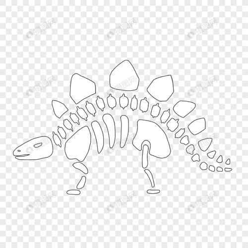 手绘卡通世界博物馆日剑龙骨骼标本恐龙创意