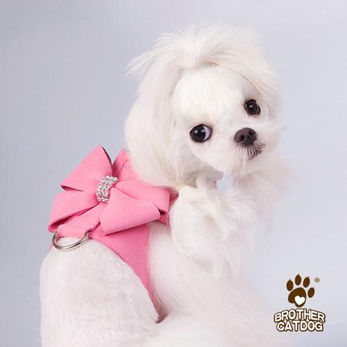 2022宠物宠物狗狗狗牵引秋冬时尚蝴蝶结狗胸背带狗牵引绳