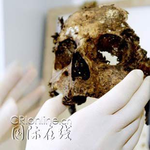 尘归尘 土归土 英电视台欲全程拍摄尸体腐烂图