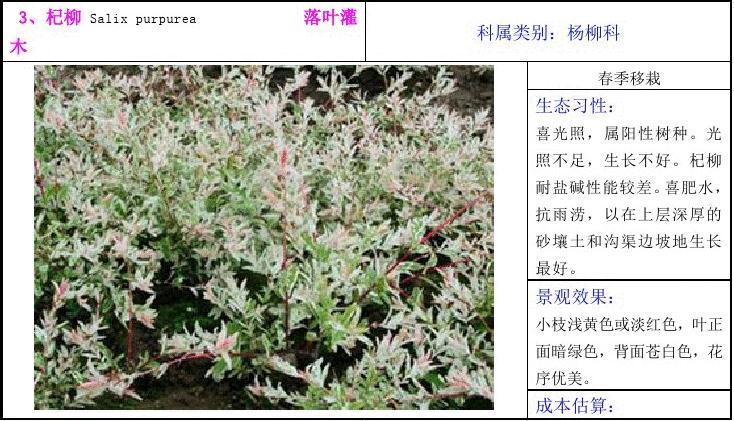 东北植物图谱(灌木,地被)