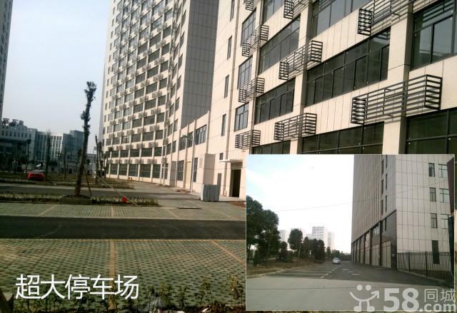 武汉东西湖区金银湖片金银潭经济发展区金潭路与宏图大道交汇处二手房