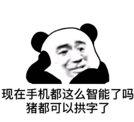 沙雕日常斗图微信表情包