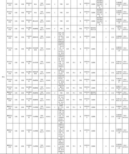 希望自己能够穿上警服,戴上警帽 巡逻,安保,救助,打击罪恶 那么现在就