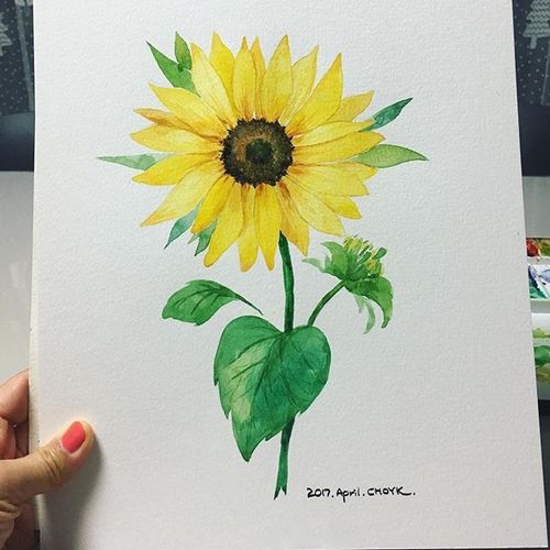 一枝花水彩花卉临摹素材,水彩画花卉上色真好看