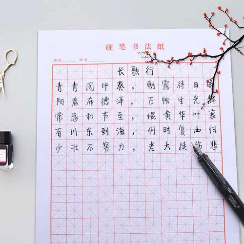 田字格米字格钢笔练字本方格纸书法作品成人儿童小