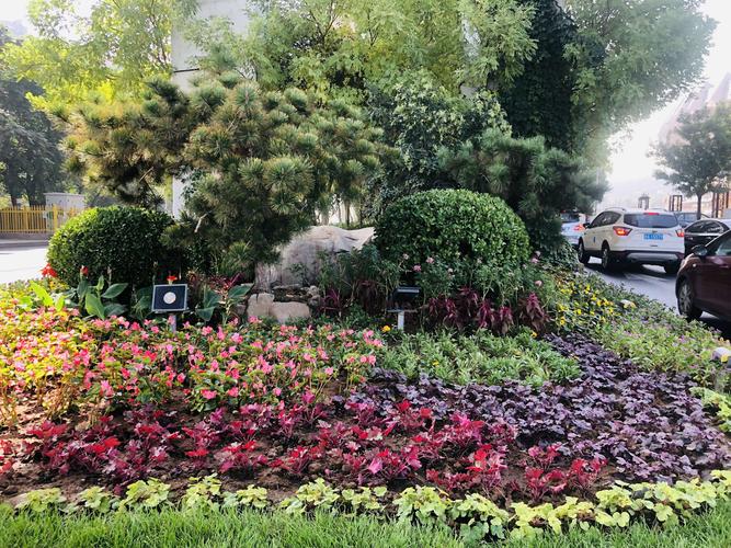 植物风韵之美 花境献礼华诞