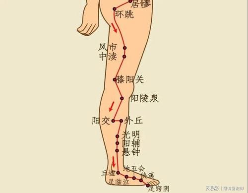 2,刮痧或敲打腿上的胆经(从上到下)