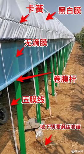 新型养殖大棚 通风保温效果好 造价低 安装便捷 自己可安装