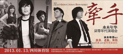 水木年华海报