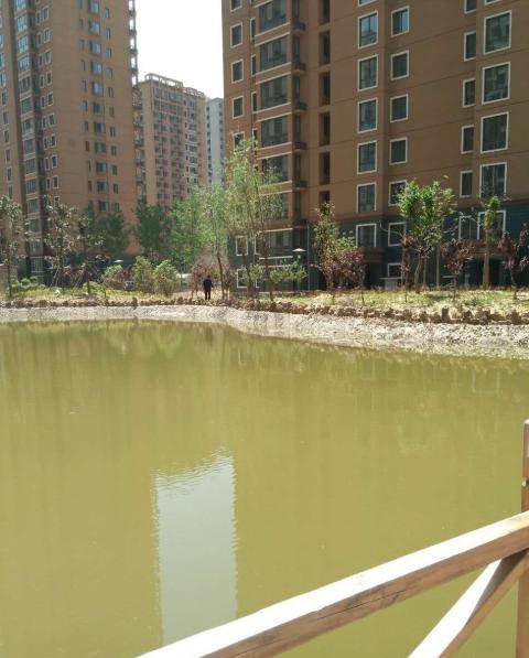 康城花园 高层电梯双气 毛坯房 1室1厅1卫—商丘梁园