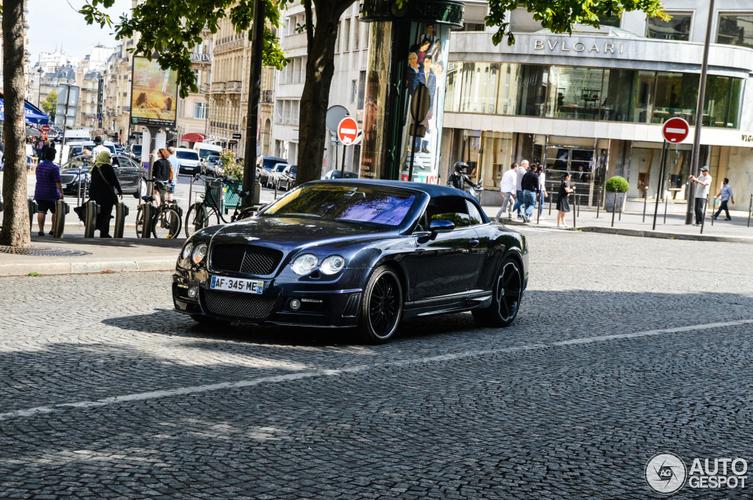 bentley wald continental gtc black bison edition