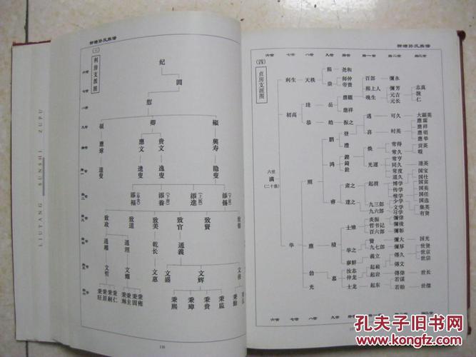乐安堂.辈字:树清高硕望开嘉里以先声传芳实大)