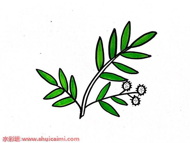 含羞草简笔画的画法步骤图解
