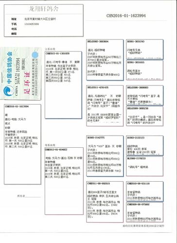 龙翔轩 - 中信网铭鸽展厅 www.ag188.com