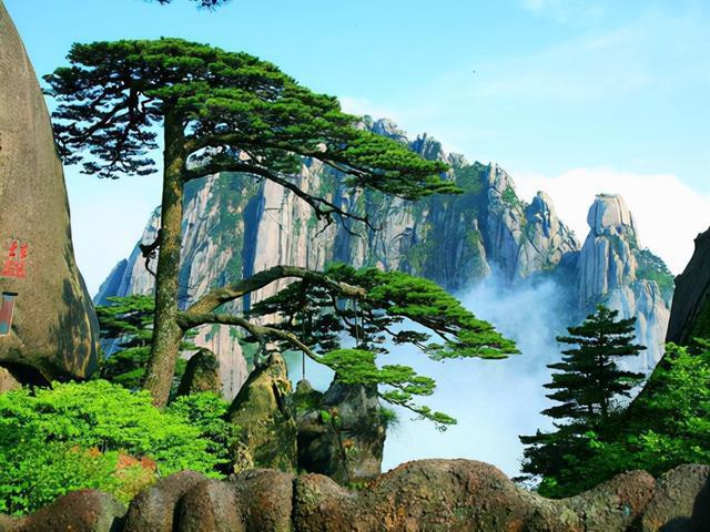 你知道吗黄山一年中最美的色彩都藏在秋天里了