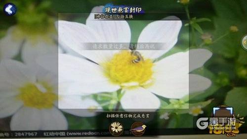 阴阳师现世悬赏扫描信物实用技巧分享