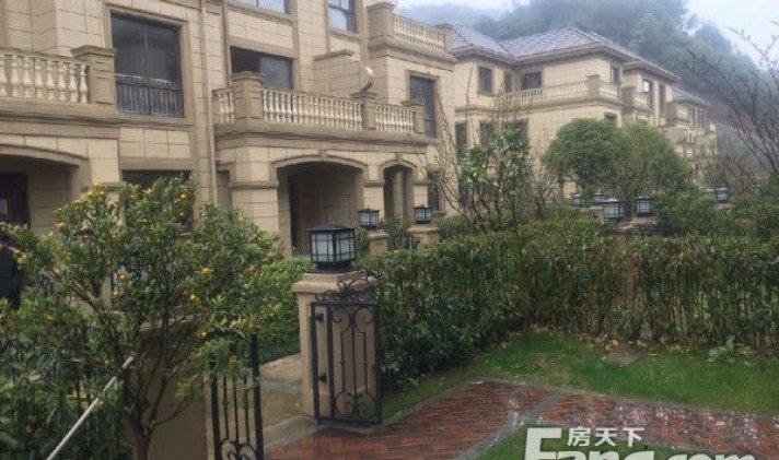 绿城桐庐玫瑰园 350平米