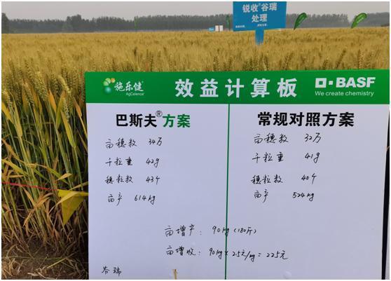 锐收谷瑞03帮巧时03尊保03禾跃03等集中亮相巴斯夫施乐健03