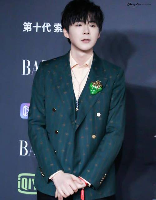 189cm刘宇宁不敌183cm肖战,同穿绿色西装凹造型,颜值果是王道_款式