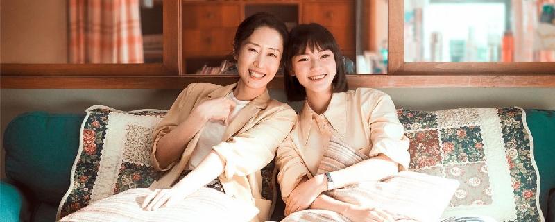 生活家电视剧是根据小说翻拍的吗