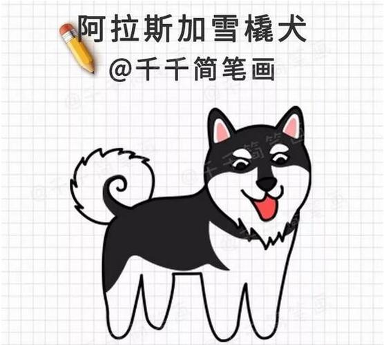 3,阿拉斯加雪橇犬简笔画