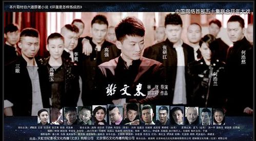 谢文东电视剧1-50集全集完整版哪里有?