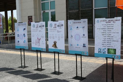 "世界兽医日,为爱奔跑"四城联动大型公益活动完美收官