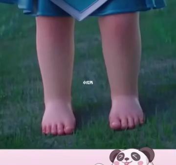 蔡文姬同款小胖腿