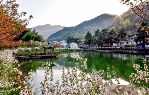 【周末去哪儿】宜兴太华镇:采茶品茗,感受空山微风