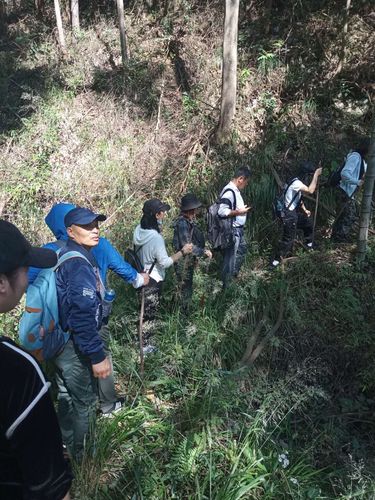 官元山林场—方竹坪—西坑村—仙人石—船埠潭(地图标为船市滩)—官