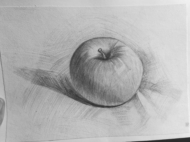 苹果|纯艺术|素描|舍予喵喵喵 - 临摹作品 - 站酷