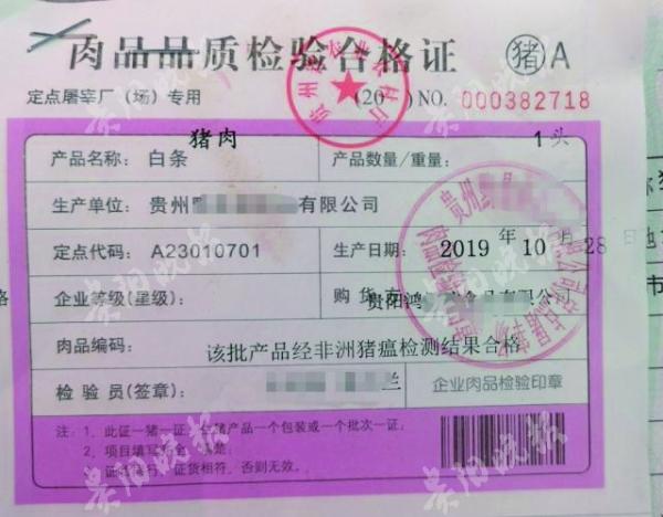 检疫章颜色能辨猪肉公母?假的!买猪肉认准"两章两证一报告"