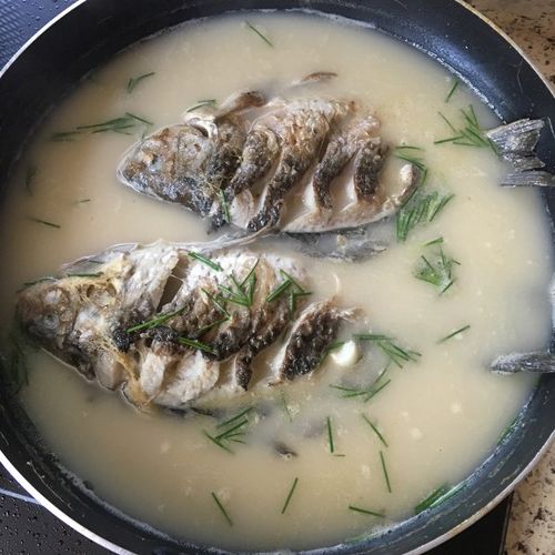 小葱拌豆腐979做的鲫鱼汤