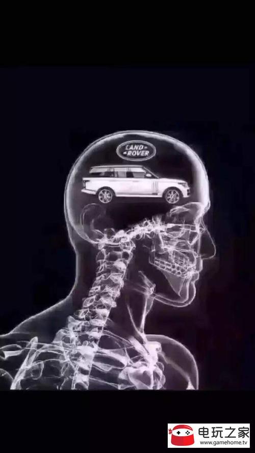 抖音脑子ct图里面全是你字表情包