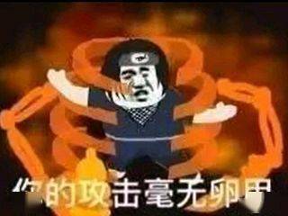 熊猫头火影忍者表情包_警告