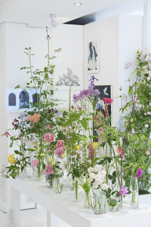showstudio"fashion flora"展览,插画与花艺的结合,妙趣横生.