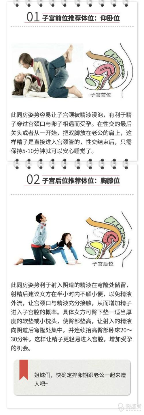 最佳受孕姿势送给你