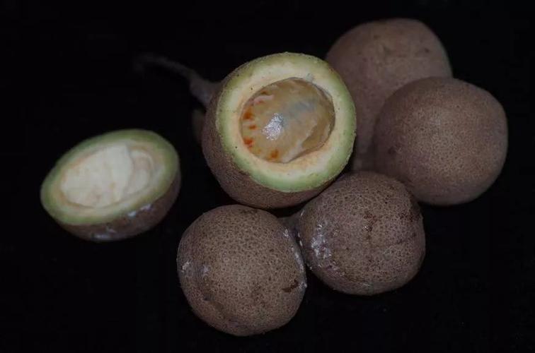 没有哪种语言比水果更甜蜜