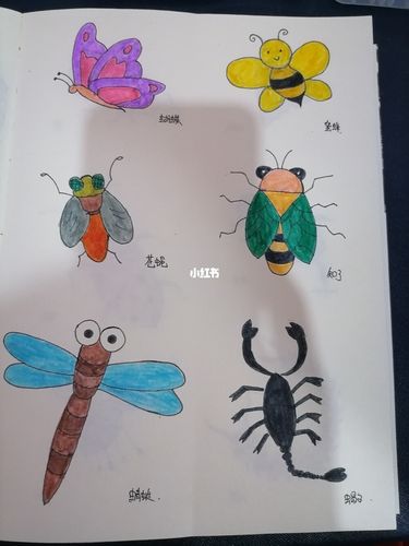 简笔画——动物:昆虫类_简笔画_画个简笔画_文化_绘画