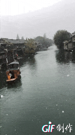 很清晰了 高空的雪比低空的雪更大一些 小编宣布:朋友圈雪景大赛开赛