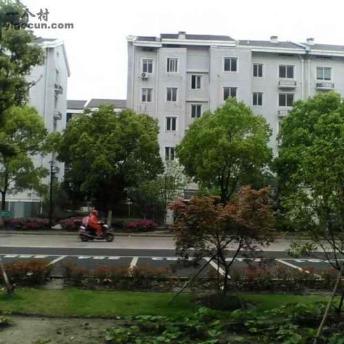 江苏省苏州市太仓市浮桥镇六尺社区图片