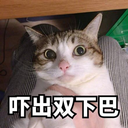 吓出双下巴 - 喵星人表情包系列_猫咪表情