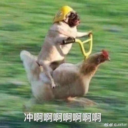 我终于自由了!