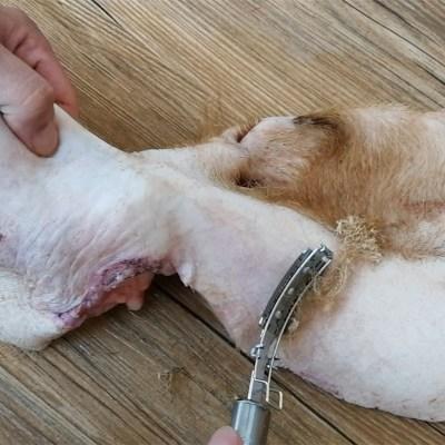 刨毛杀猪刮毛板 猪毛刨 鸡鸭拔毛器猪毛镊子去毛神器