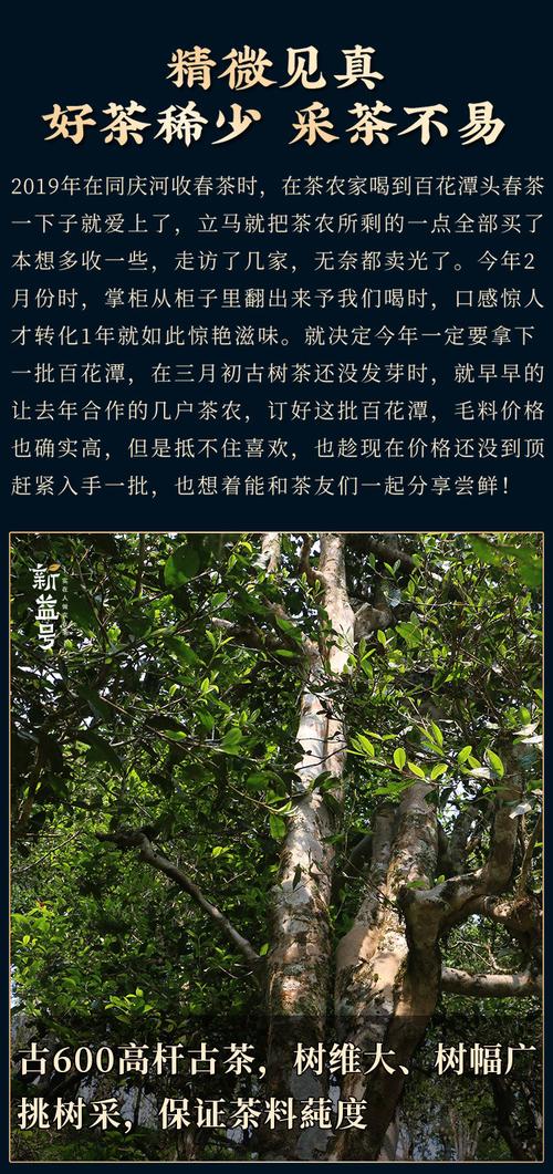 古600易武百花潭春茶云南古树茶普洱茶生茶饼357g七子饼茶叶