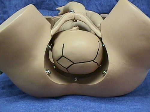 l7 � n1 k" x   rot右枕横