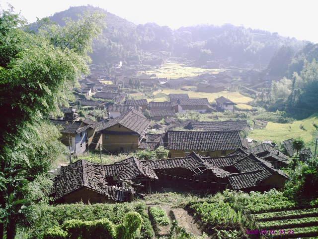 桂东村