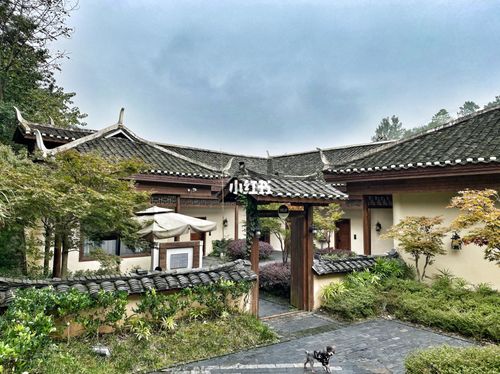 黄丝江边度假酒店_度假酒店_黄丝江边度假酒店_夏天去