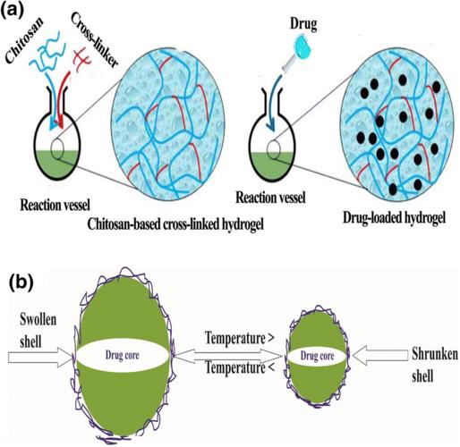 cellulose-based hydrogel materials: chemistry, properties and