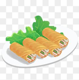 一盘美食春卷插画